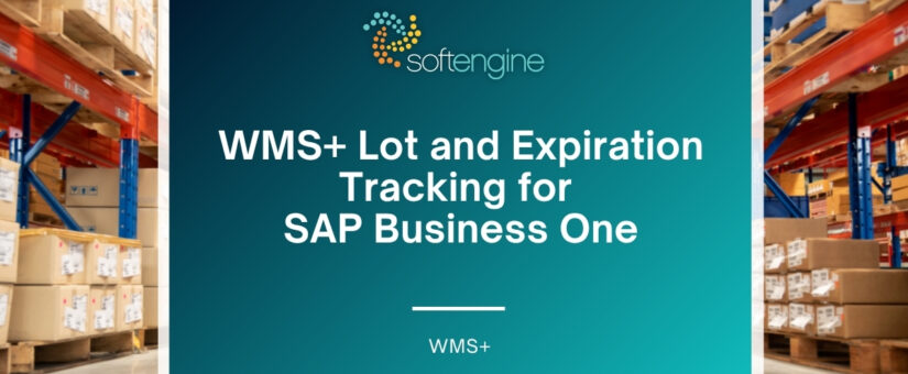 WMS+ Lot and Expiration Tracking for SAP Business One
