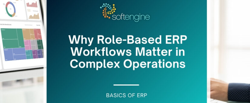 Why Role-Based ERP Workflows Matter in Complex Operations