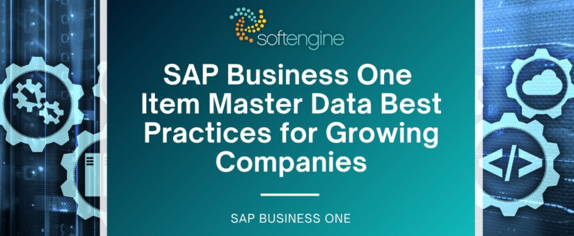 SAP Business One Item Master Data Best Practices for Growing Companies